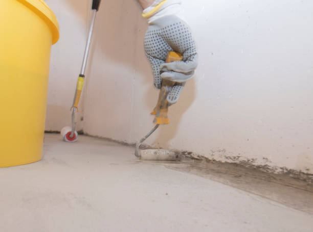 Best Pest Exclusion Services  in Jefferson, TX